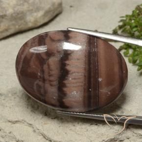 25.72 ct Multicolor Jasper Stone, Natural Jasper in Oval Cabochon Shape for Sale
