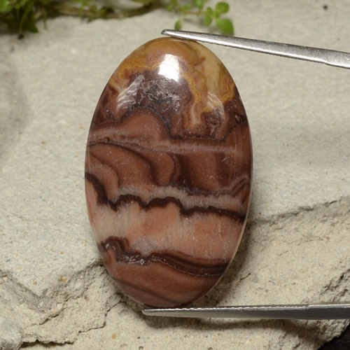 Multicolor Jasper Gem - 19.3ct Oval Cabochon (ID: 481336)