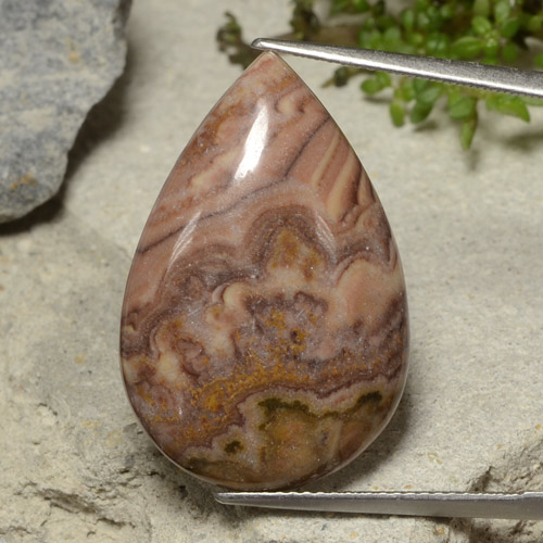 Mehrfarbig Jaspis Edelstein - 16.8ct Birnen Cabochon (ID: 481339)
