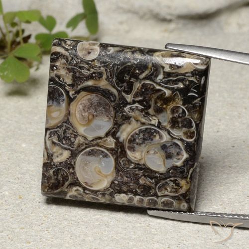 30.08ct Natural Multicolor Jasper, Square, Opaque