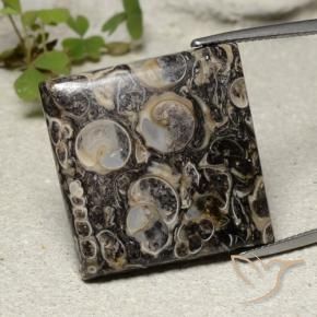 30.08 ct Multicolor Jasper Stone, Natural Jasper in Square Cabochon Shape for Sale