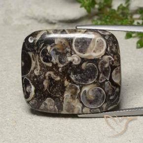 33.41 ct Multicolor Jasper Stone, Natural Jasper in Cushion Cabochon Shape for Sale