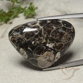 31.57 ct Multicolor Jasper Stone, Natural Jasper in Pear Cabochon Shape for Sale