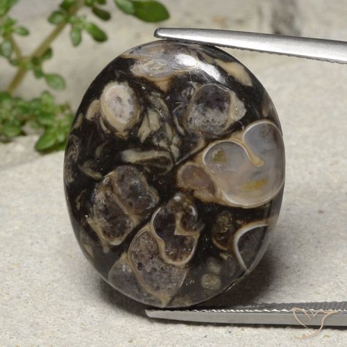 21.18ct Natural Multicolor Jasper, Oval, Opaque