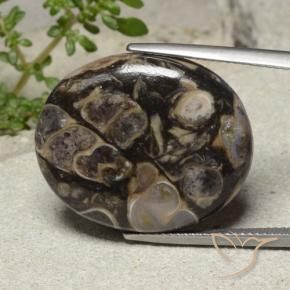 21.18 ct Multicolor Jasper Stone, Natural Jasper in Oval Cabochon Shape for Sale