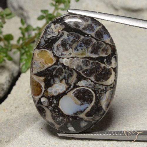 31.02ct Natural Multicolor Jasper, Oval, Opaque
