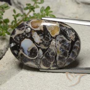 31.02 ct Multicolor Jasper Stone, Natural Jasper in Oval Cabochon Shape for Sale