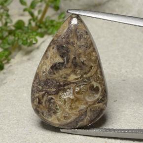 Mehrfarbig Jaspis Edelstein - 17.9ct Birnen Cabochon (ID: 481351)