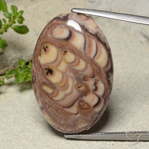 24.27 ct Multicolor Jasper Gemstone, Jasper Gem in Oval Cabochon Shape for Sale.