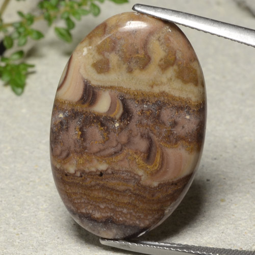 Multicolor Jasper Gem - 19.4ct Oval Cabochon (ID: 481354)