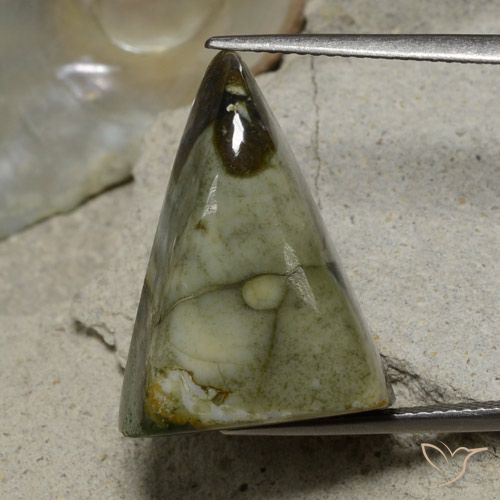 17.87ct Natural Multicolor Jasper, Trillion, Opaque