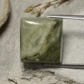 Многоцветный Яшма Камень - 12.7ct Квадратный Кабошон (ID: 481376)