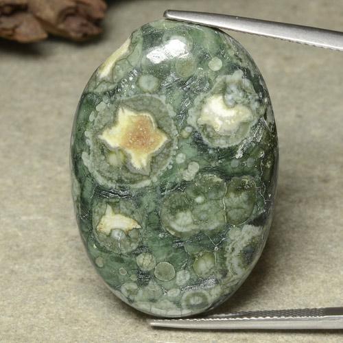 Multicolor Jasper Gem - 33.9ct Oval Cabochon (ID: 481475)