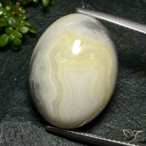 Multicolor Jasper Gem - 17ct Oval Cabochon (ID: 481487)