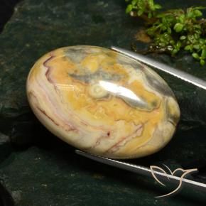 63.09 ct Multicolor Jasper Stone, Natural Jasper in Oval Cabochon Shape for Sale
