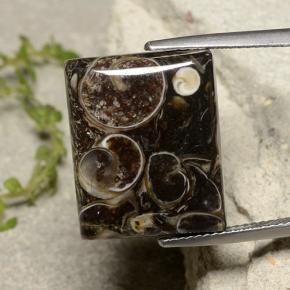 16.47 ct Multicolor Jasper Gemstone, Jasper Gem in Baguette Cabochon Shape for Sale.
