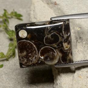 16.47 ct Multicolor Jasper Stone, Natural Jasper in Baguette Cabochon Shape for Sale