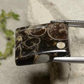 Jasper Gemstone in 18.2 x 14.7 mm Size for Sale, Jasper Stone in Multicolor Color