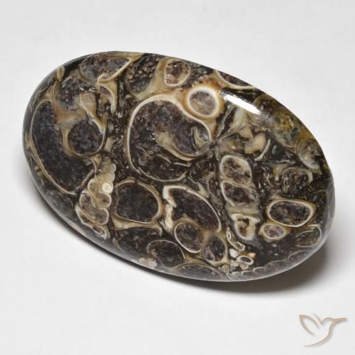 37.39 ct Multicolor Jasper Stone, Natural Jasper in Oval Cabochon Shape for Sale