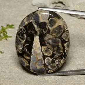 46.6ct Oval Cabochon Multicolor Jasper for sale thumb image of 46.6ct Oval Cabochon Multicolor Jasper (ID: 482404)