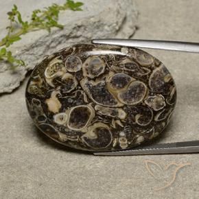 40.36 ct Multicolor Jasper Stone, Natural Jasper in Oval Cabochon Shape for Sale