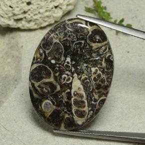 33.14 ct Multicolor Jasper Gemstone, Jasper Gem in Oval Cabochon Shape for Sale.