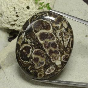 Multicolor Jaspe Gema - 59.6ct Cabujón Óvalo (ID: 482533)