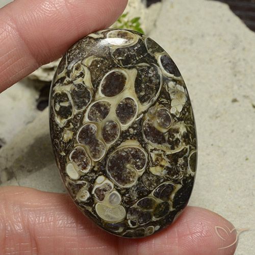 71.95ct Natural Multicolor Jasper, Oval, Opaque