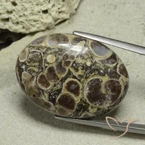 40.61 ct Multicolor Jasper Stone, Natural Jasper in Oval Cabochon Shape for Sale