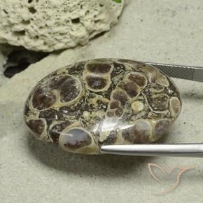 Jasper Gemstone in 32.3 x 23.9 mm Size for Sale, Jasper Stone in Multicolor Color