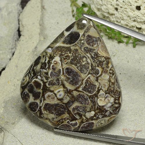 Diaspro a pera da 46,19 ct, 37,4 x 35,5 mm dall'Indonesia, Photo A