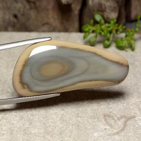 29.35 ct Multicolor Jasper Stone, Natural Jasper in Shark Fin Cabochon Shape for Sale