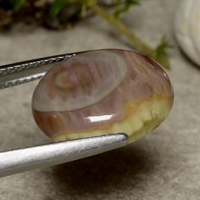 Jasper Gemstone in 15.5 x 12.5 mm Size for Sale, Jasper Stone in Multicolor Color