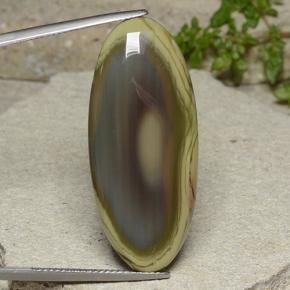 Multicolor Jasper Gem - 23.9ct Oval Cabochon (ID: 486419)