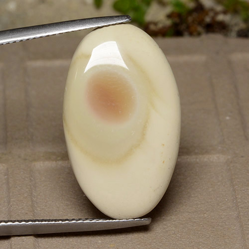 Multicolor Jasper Gem - 14.8ct Oval Cabochon (ID: 486422)