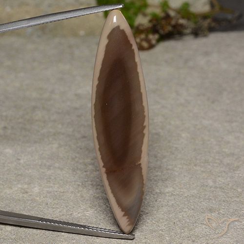 13.34ct Natural Multicolor Jasper, Marquise, Opaque