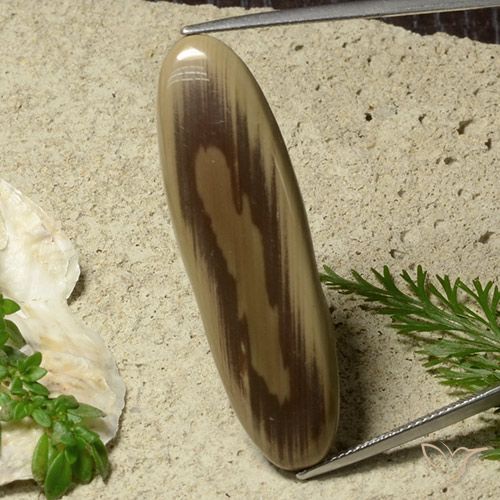 26.40 ct Multicolor Jasper Gemstone, Jasper Gem in Oval Cabochon Shape for Sale.