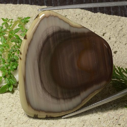 74.72ct Natural Multicolor Jasper, Fancy, Opaque