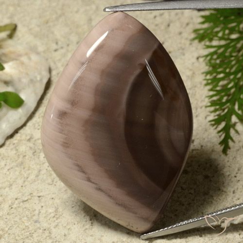 55.75ct Natural Multicolor Jasper, Fancy, Opaque