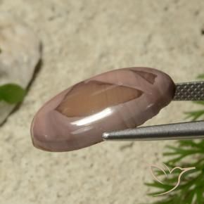 Jasper Gemstone in 19 x 13.7 mm Size for Sale, Jasper Stone in Multicolor Color