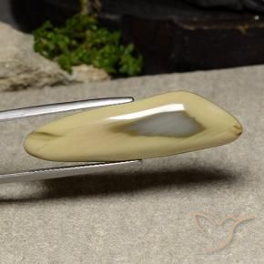 17.76 ct Multicolor Jasper Stone, Natural Jasper in Shark Fin Cabochon Shape for Sale