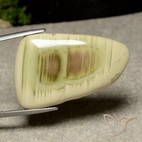 31.54 ct Multicolor Jasper Stone, Natural Jasper in Shark Fin Cabochon Shape for Sale