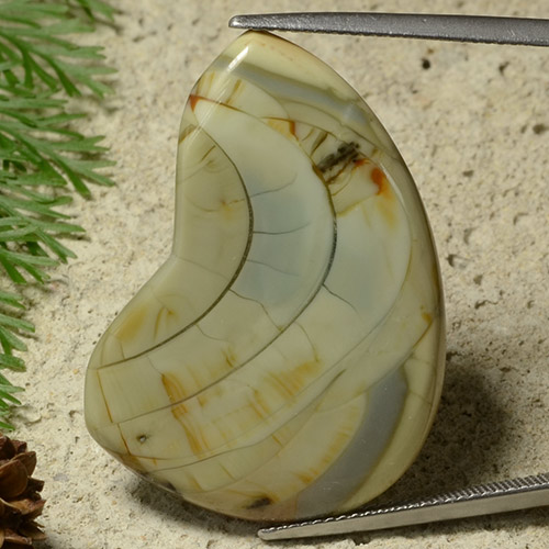 Multicolor Jasper Gem - 25.5ct Fancy Cabochon (ID: 486605)