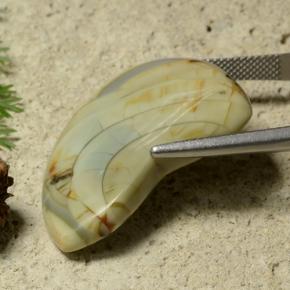 Jasper Gemstone in 32.7 x 23.8 mm Size for Sale, Jasper Stone in Multicolor Color