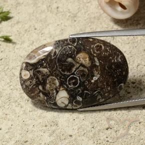 31.54 ct Multicolor Jasper Stone, Natural Jasper in Oval Cabochon Shape for Sale