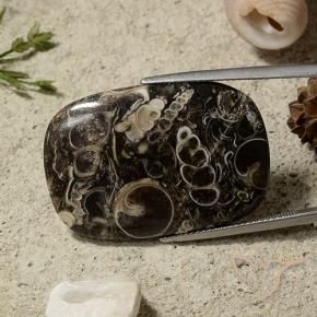 35.69 ct Multicolor Jasper Stone, Natural Jasper in Cushion Cabochon Shape for Sale