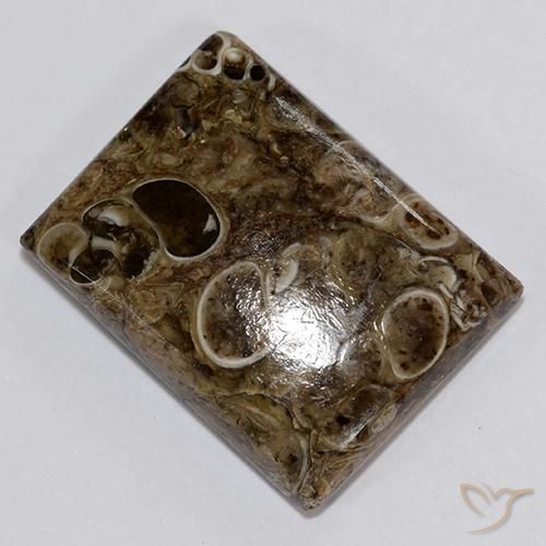 18.34ct Natural Multicolor Jasper, Baguette, Opaque