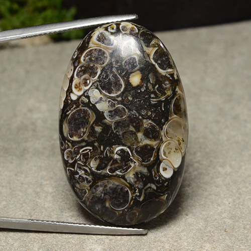 Multicolor Jasper Gem - 40.1ct Oval Cabochon (ID: 486837)