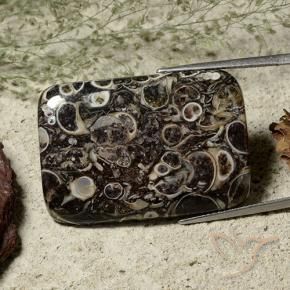 36.39 ct Multicolor Jasper Stone, Natural Jasper in Cushion Cabochon Shape for Sale