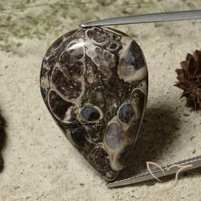 25.71 ct Multicolor Jasper Stone, Natural Jasper in Pear Cabochon Shape for Sale